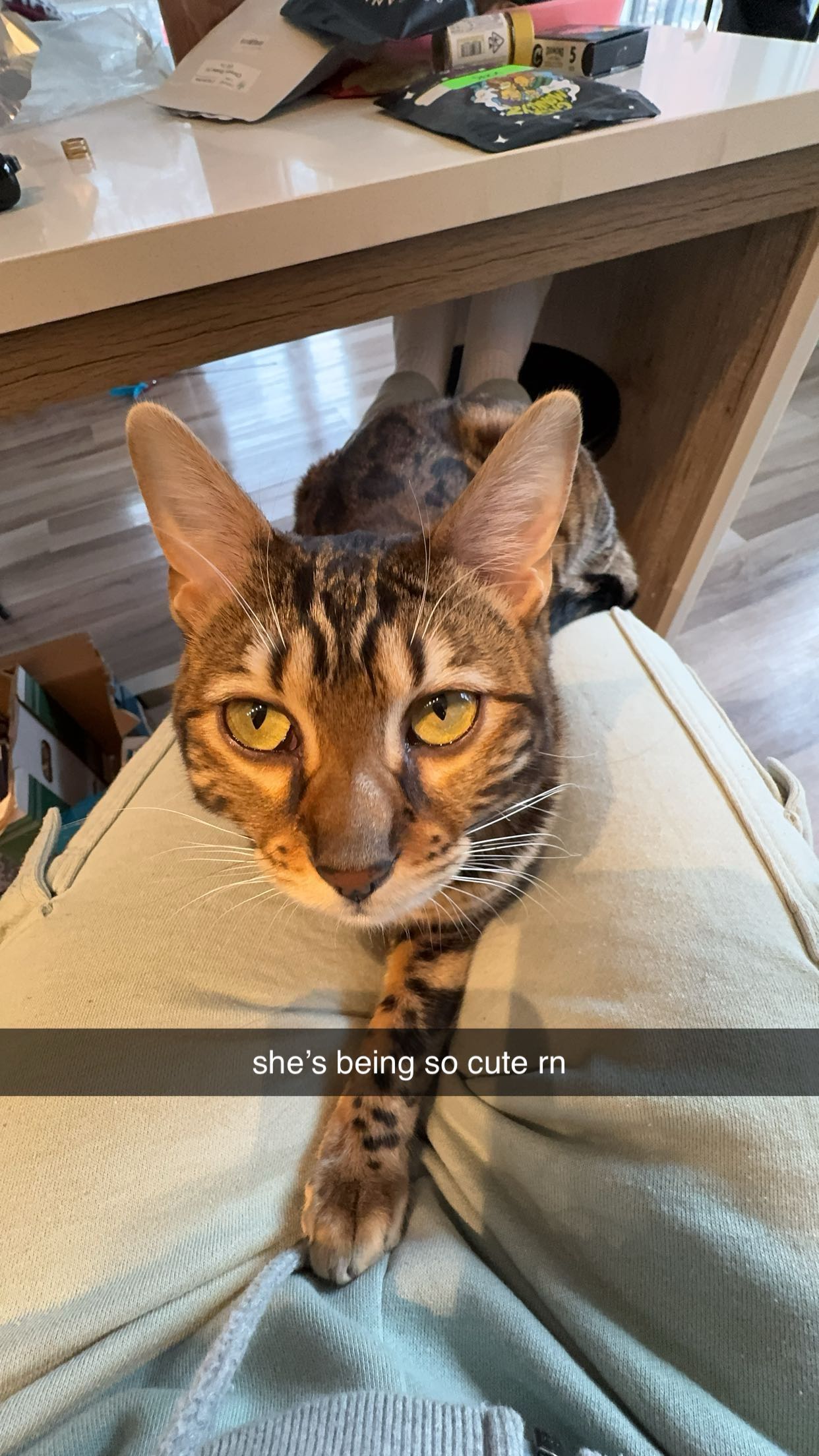 ameliabfit snapchat image archive image