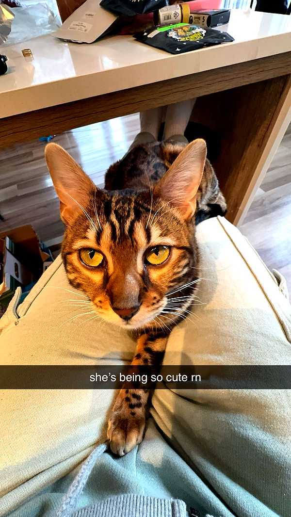 ameliabfit image ~ Altpins