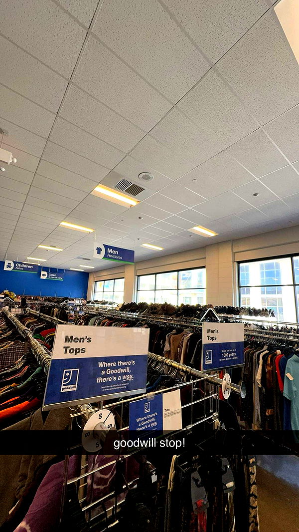 ameliabfit image ~ Altpins