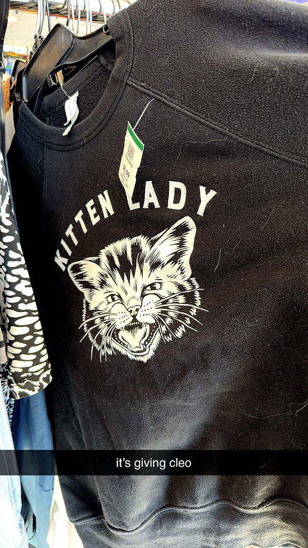 ameliabfit image ~ Altpins