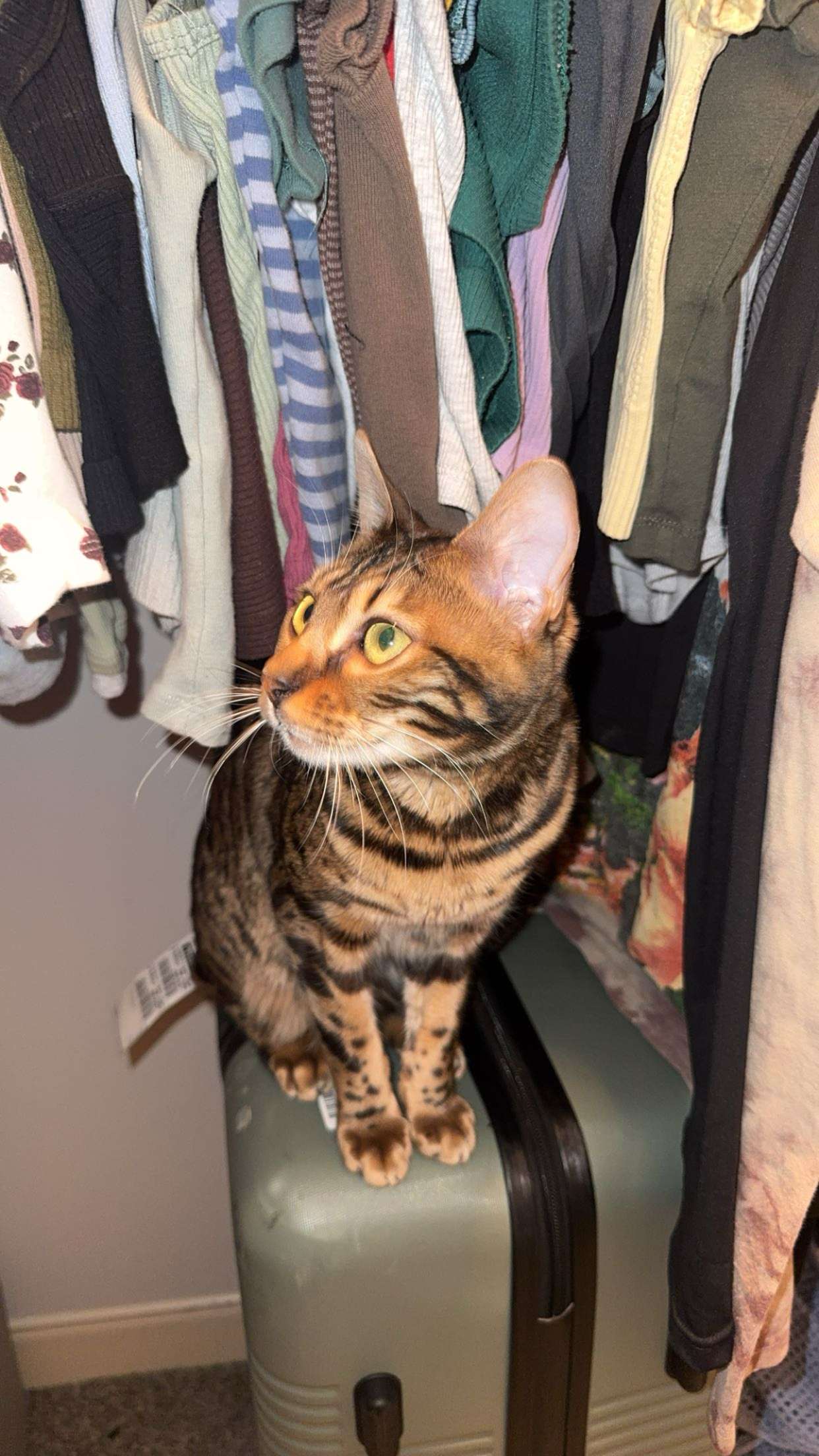 ameliabfit snapchat image archive image