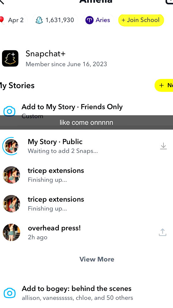 ameliabfit image ~ Altpins