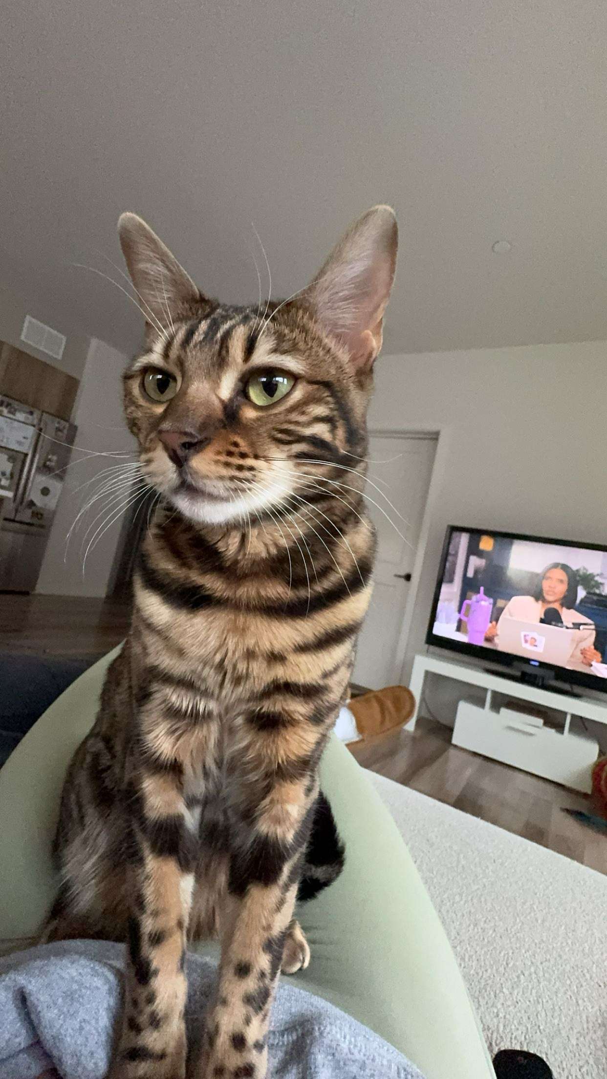 ameliabfit snapchat image archive image