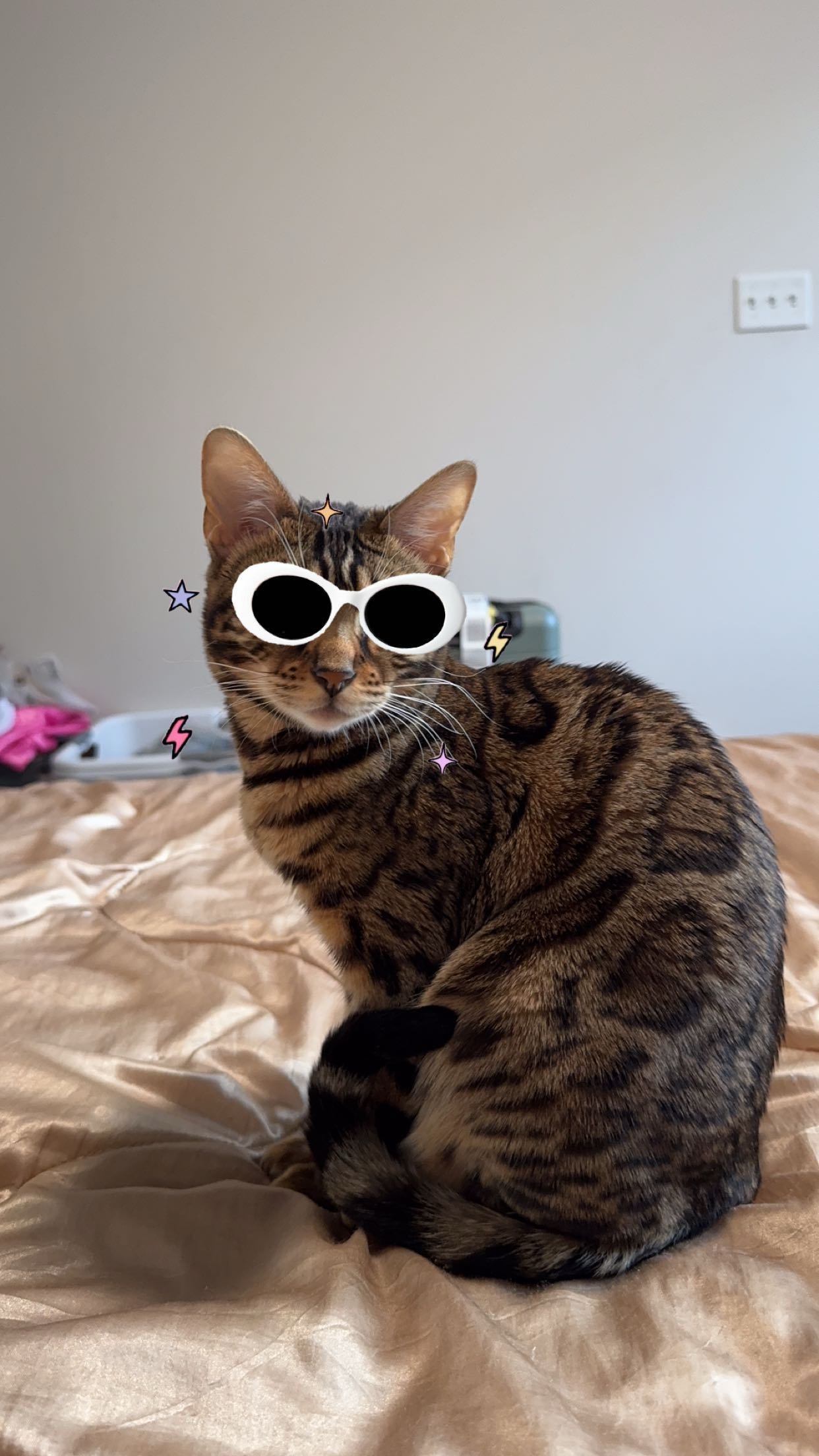 ameliabfit snapchat image archive image