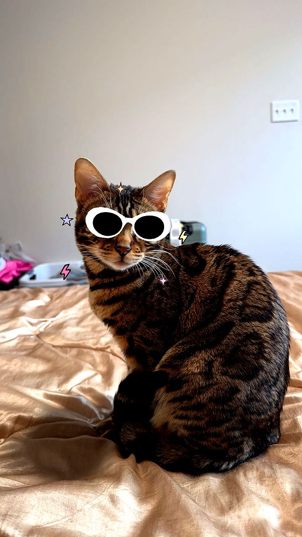 ameliabfit image ~ Altpins