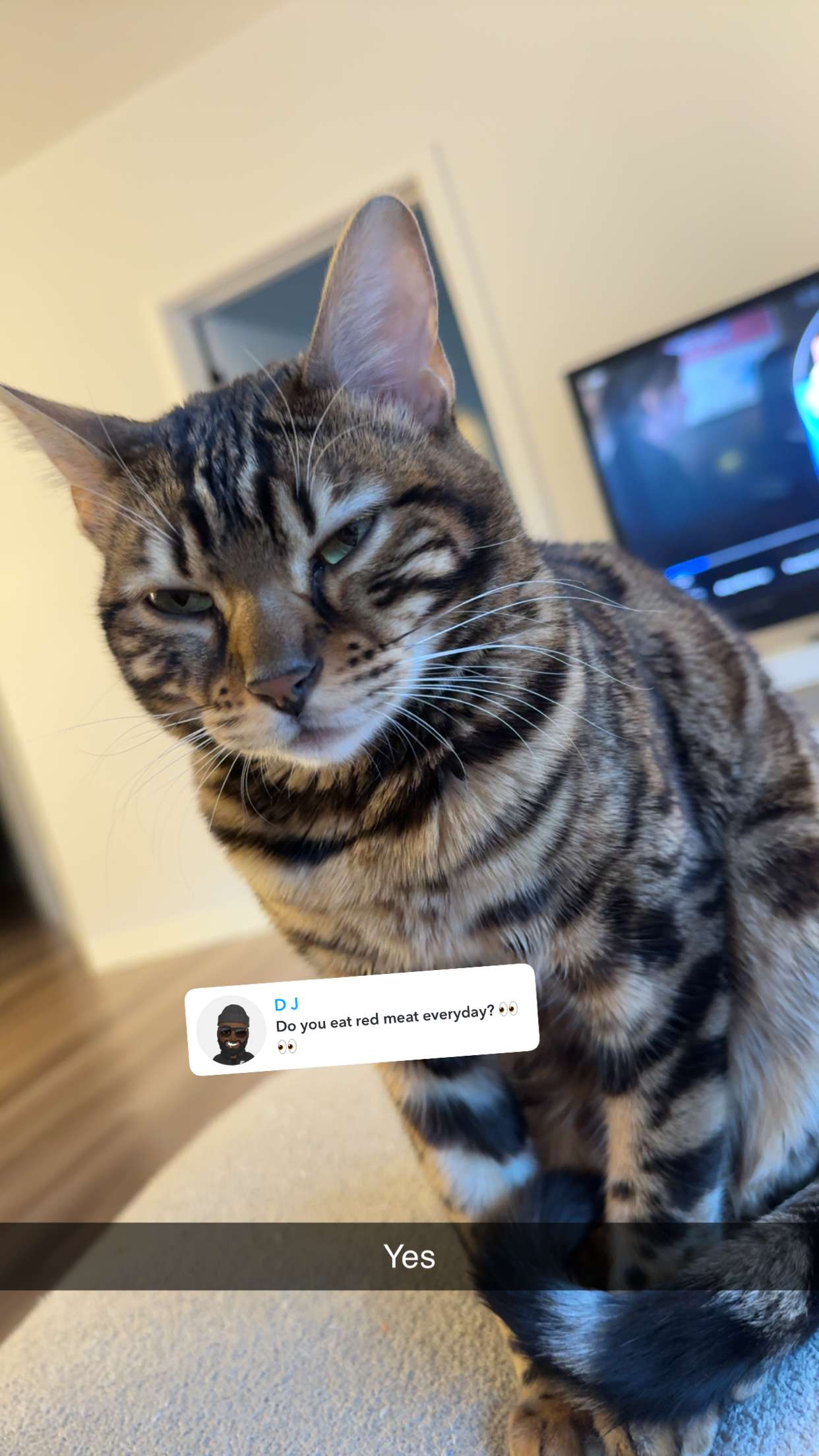 ameliabfit snapchat image archive image