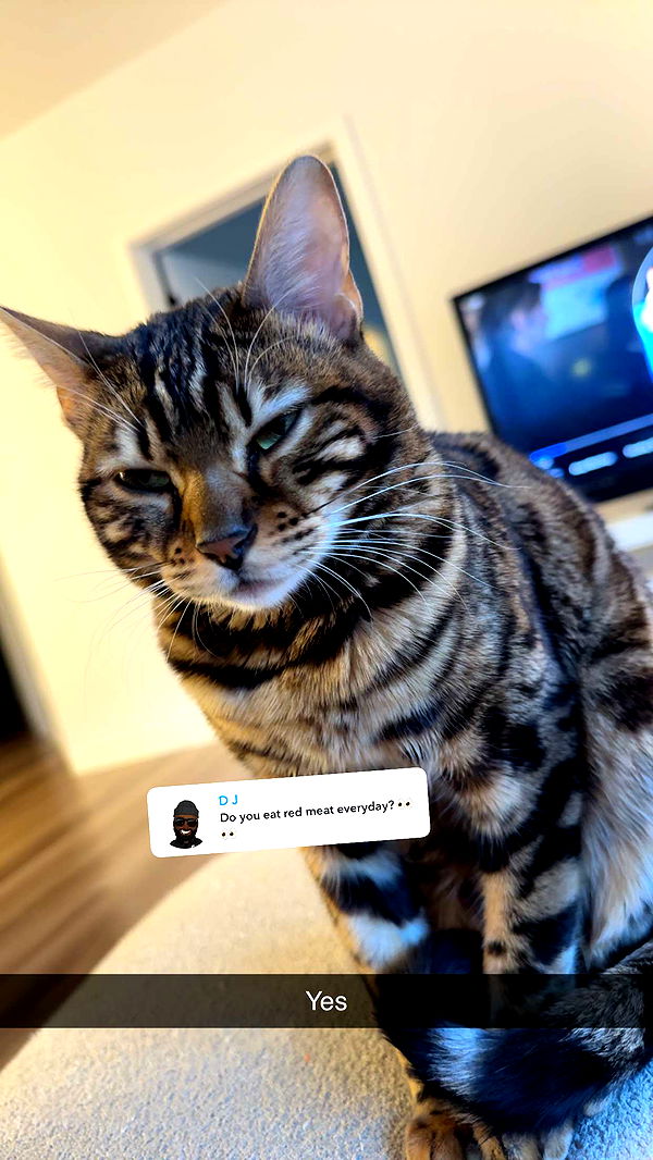 ameliabfit image ~ Altpins