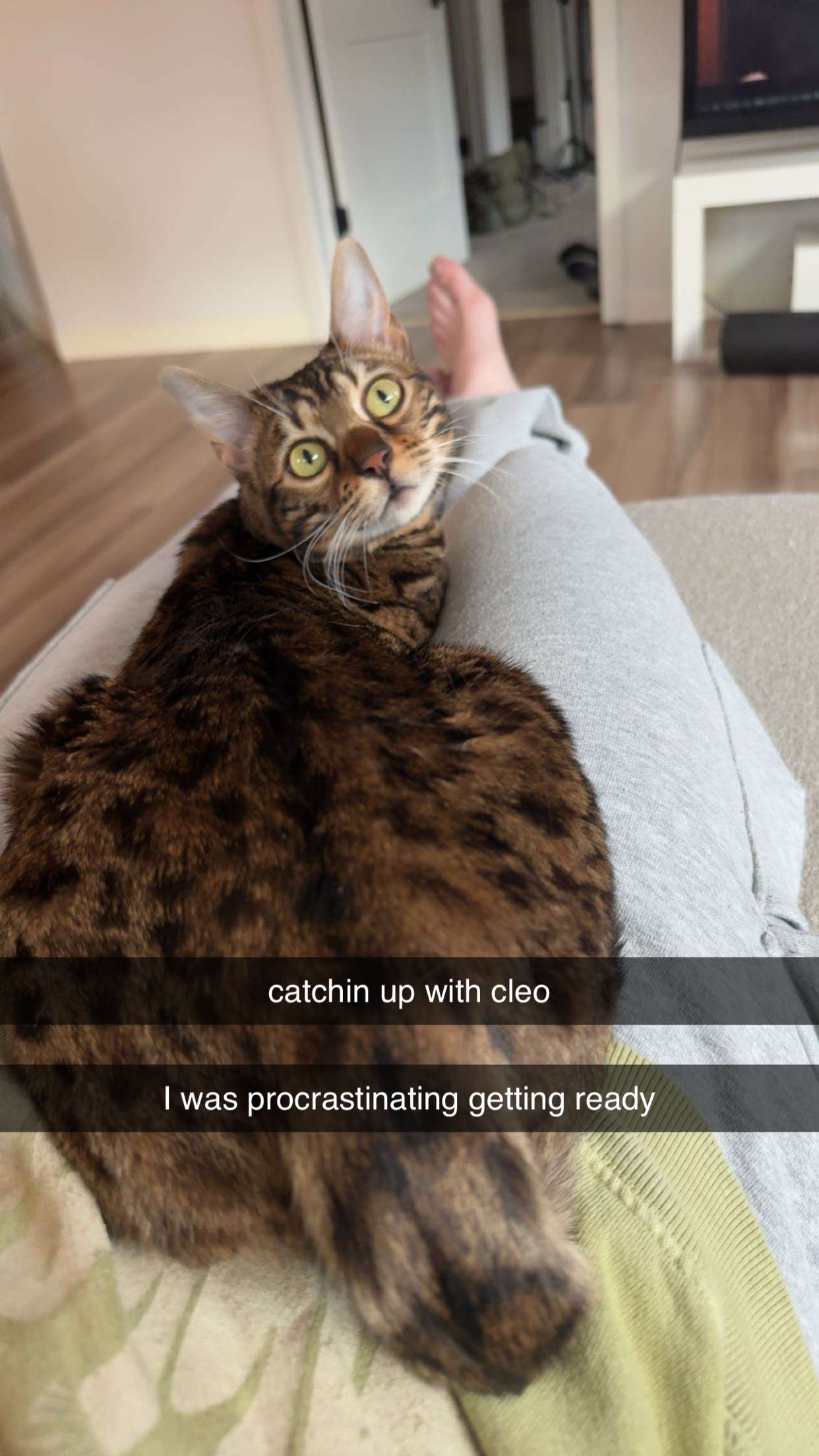 ameliabfit snapchat image archive image