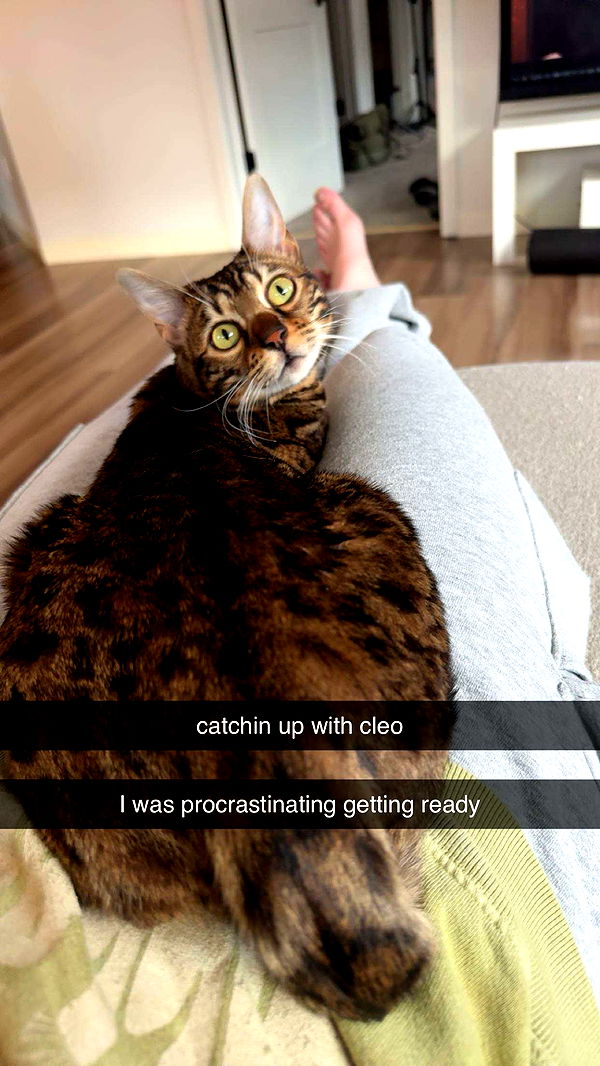 ameliabfit image ~ Altpins