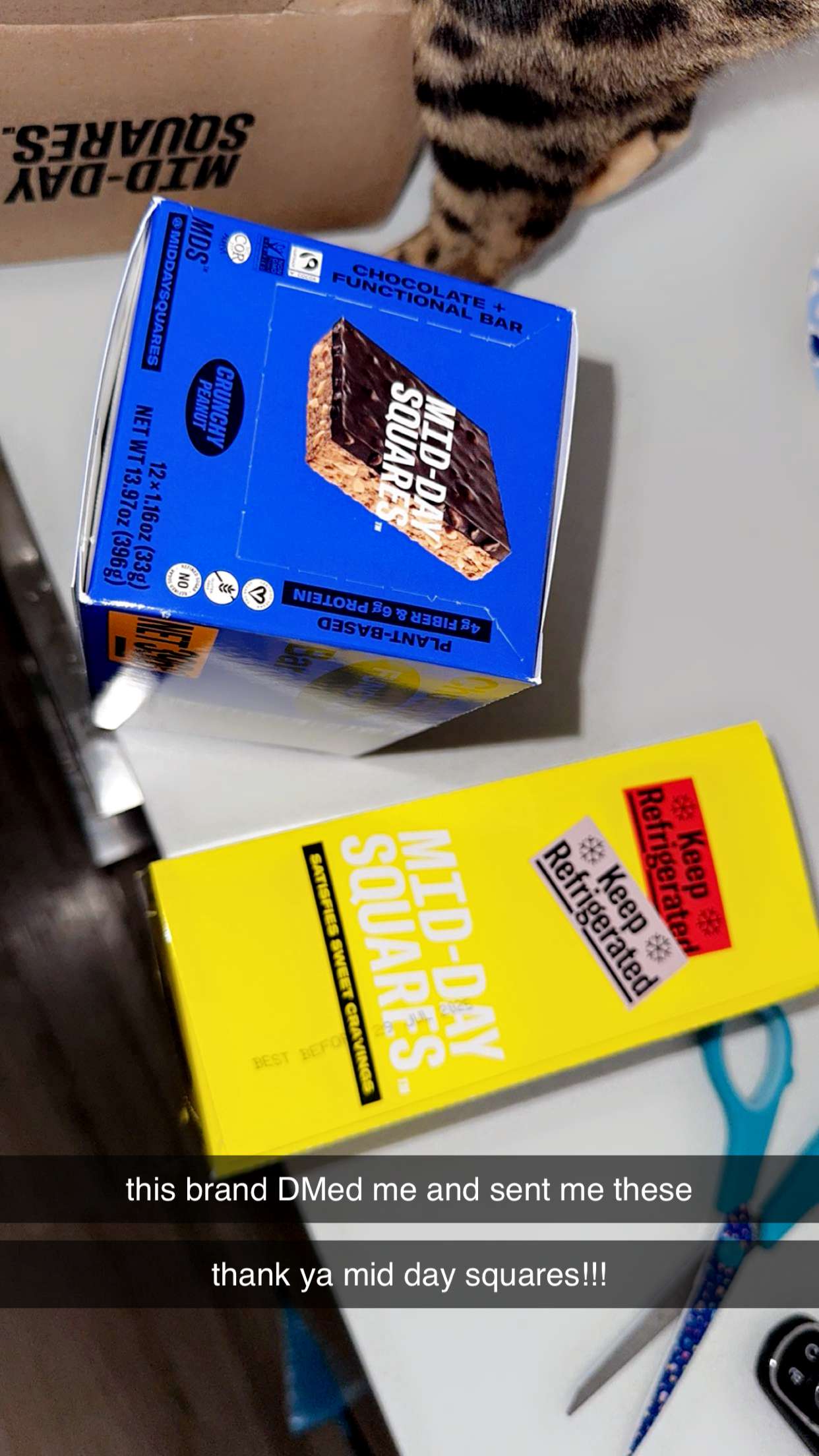 ameliabfit snapchat image archive image