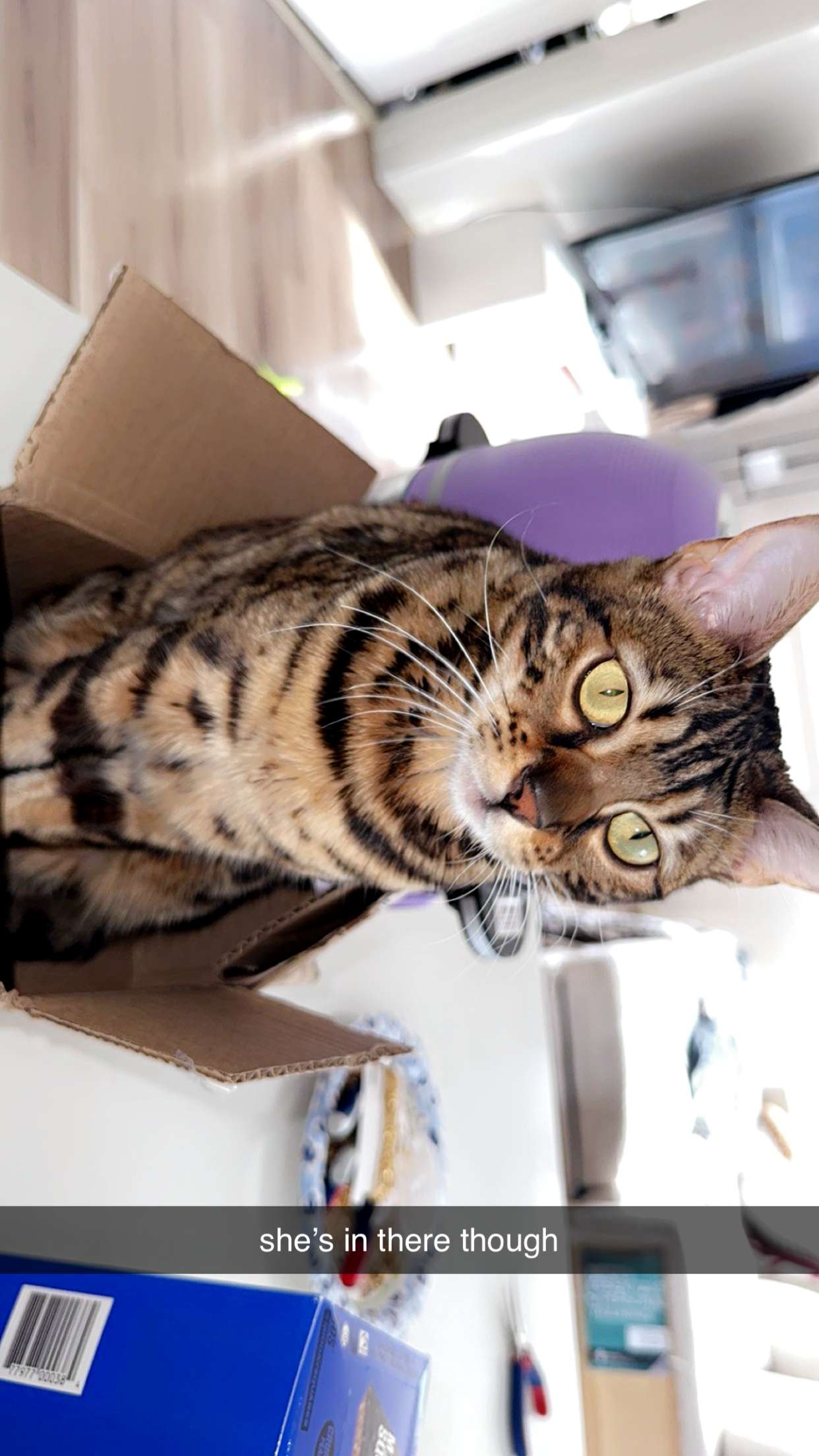 ameliabfit snapchat image archive image