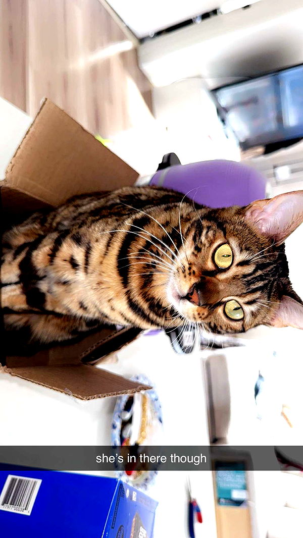 ameliabfit image ~ Altpins