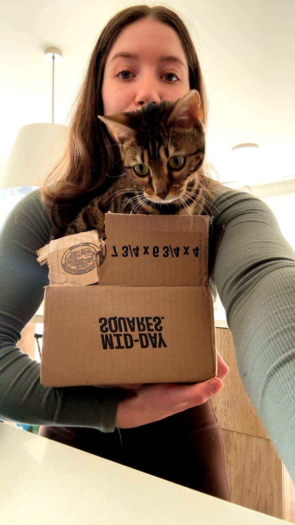 ameliabfit image ~ Altpins