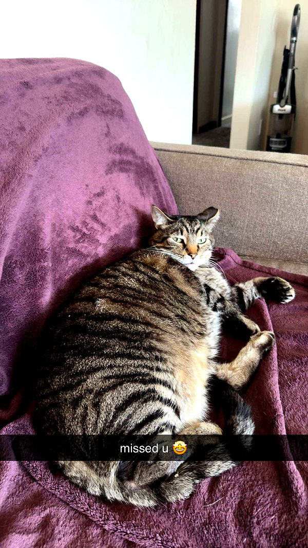 ameliabfit image ~ Altpins