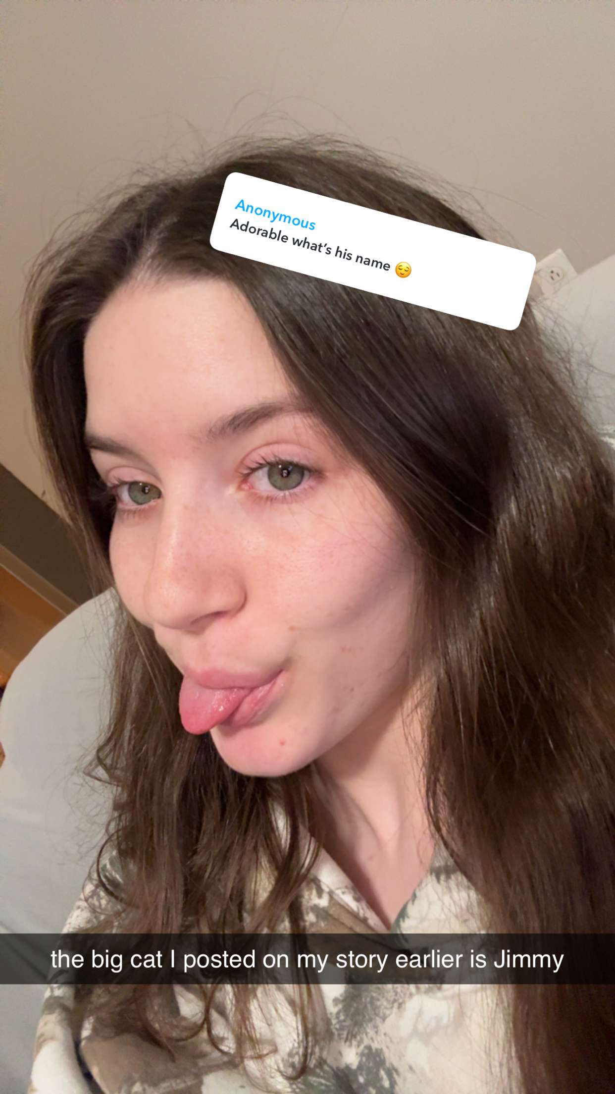 ameliabfit snapchat image archive image