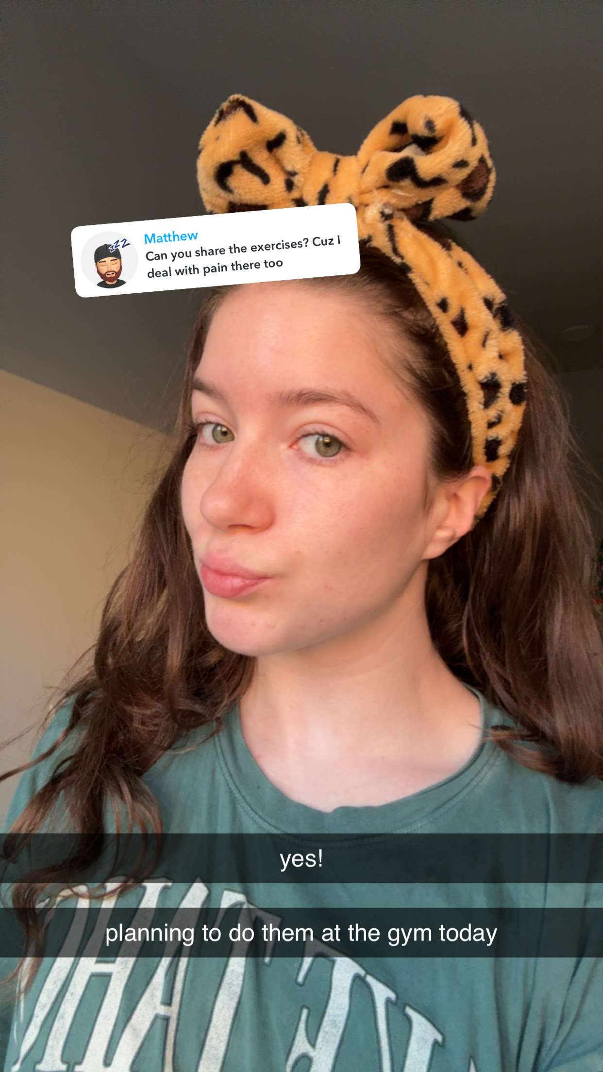 ameliabfit snapchat image archive image