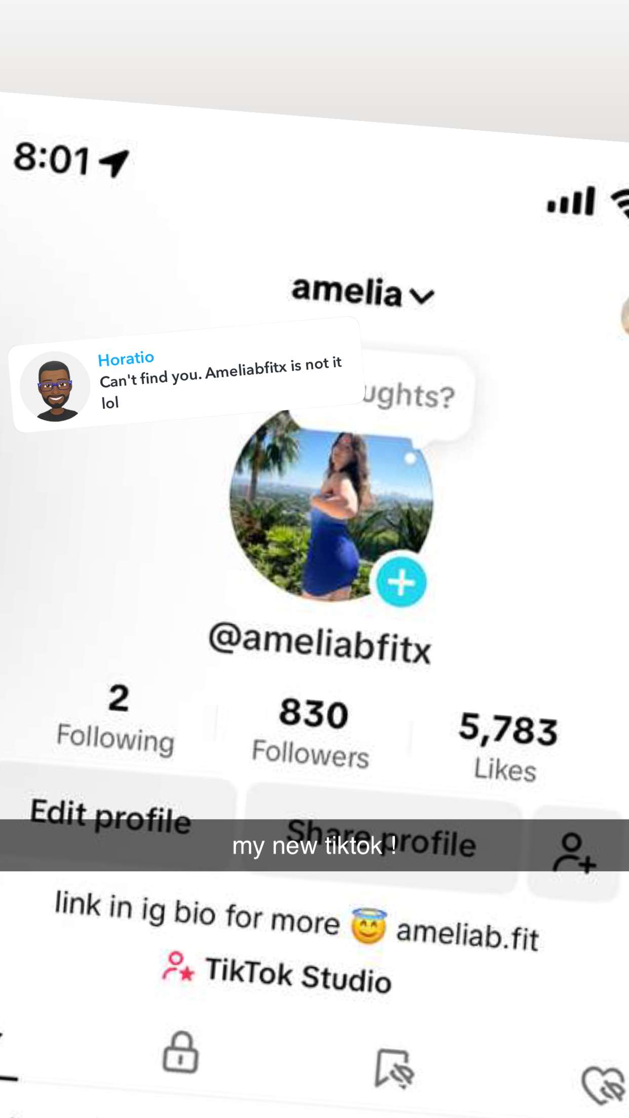 ameliabfit snapchat image archive image