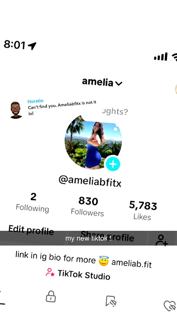 ameliabfit image ~ Altpins