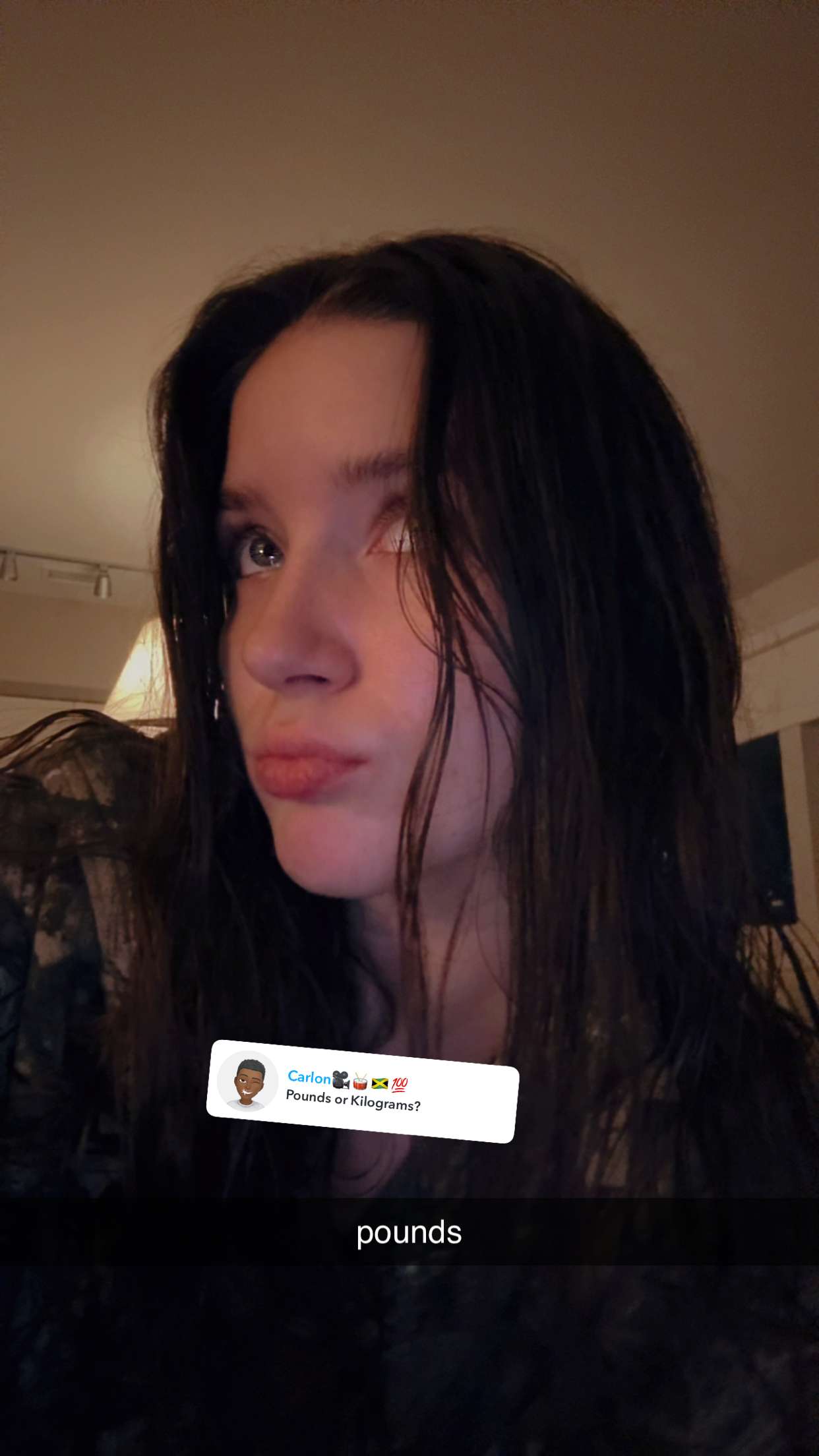 ameliabfit snapchat image archive image