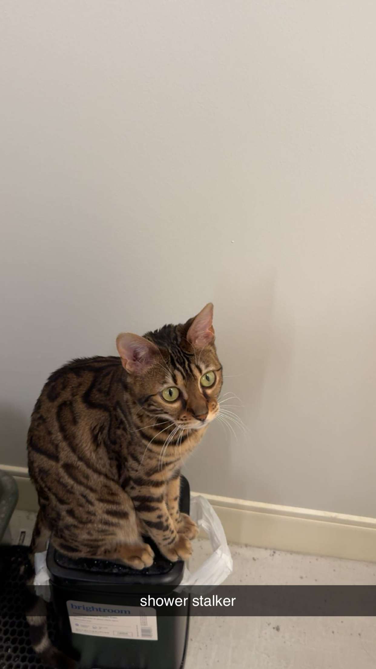 ameliabfit snapchat image archive image