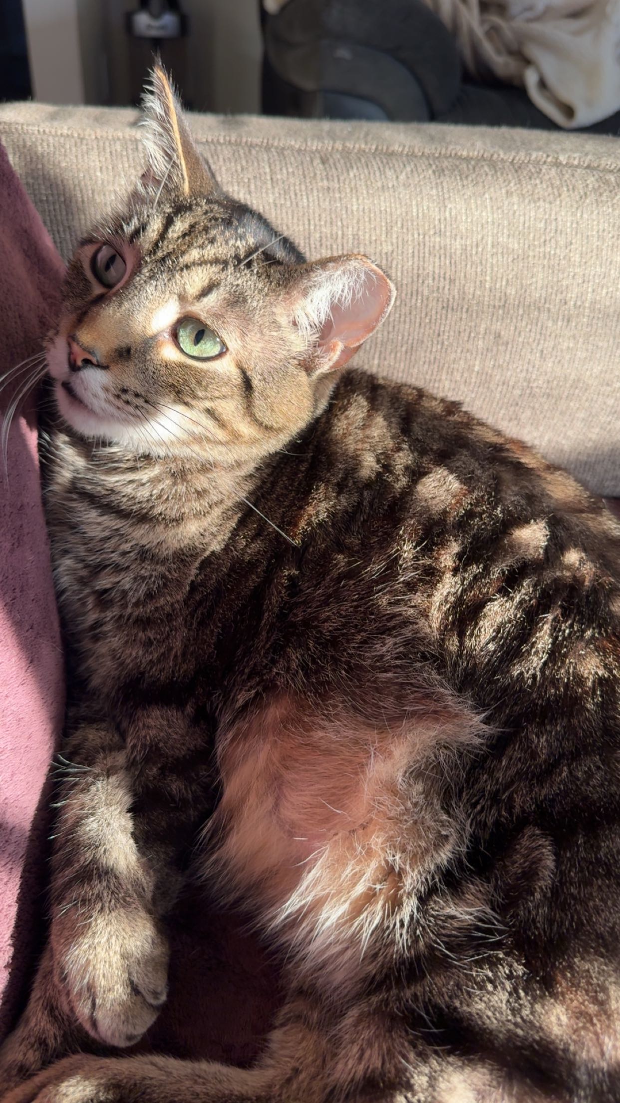 ameliabfit snapchat image archive image