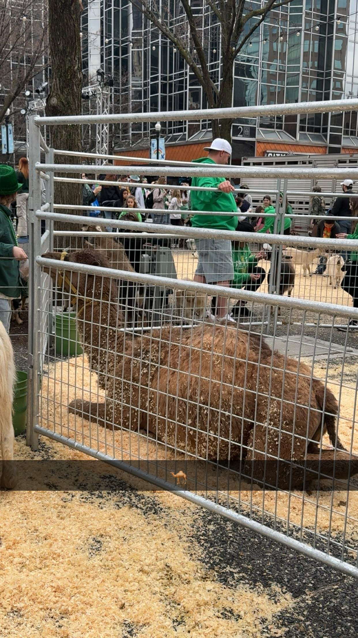 ameliabfit snapchat image archive image