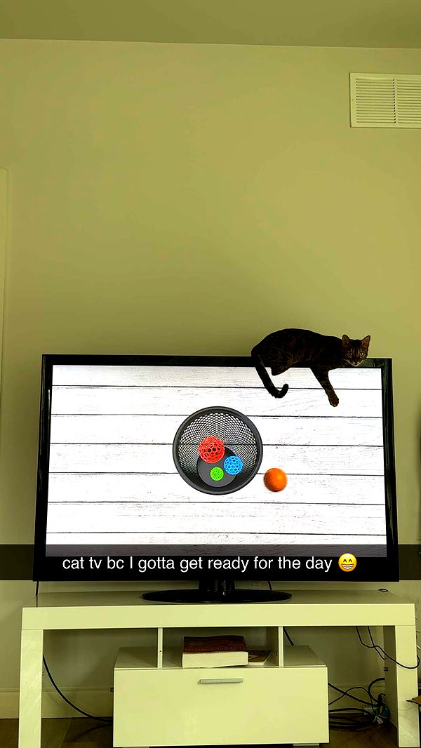 ameliabfit image ~ Altpins