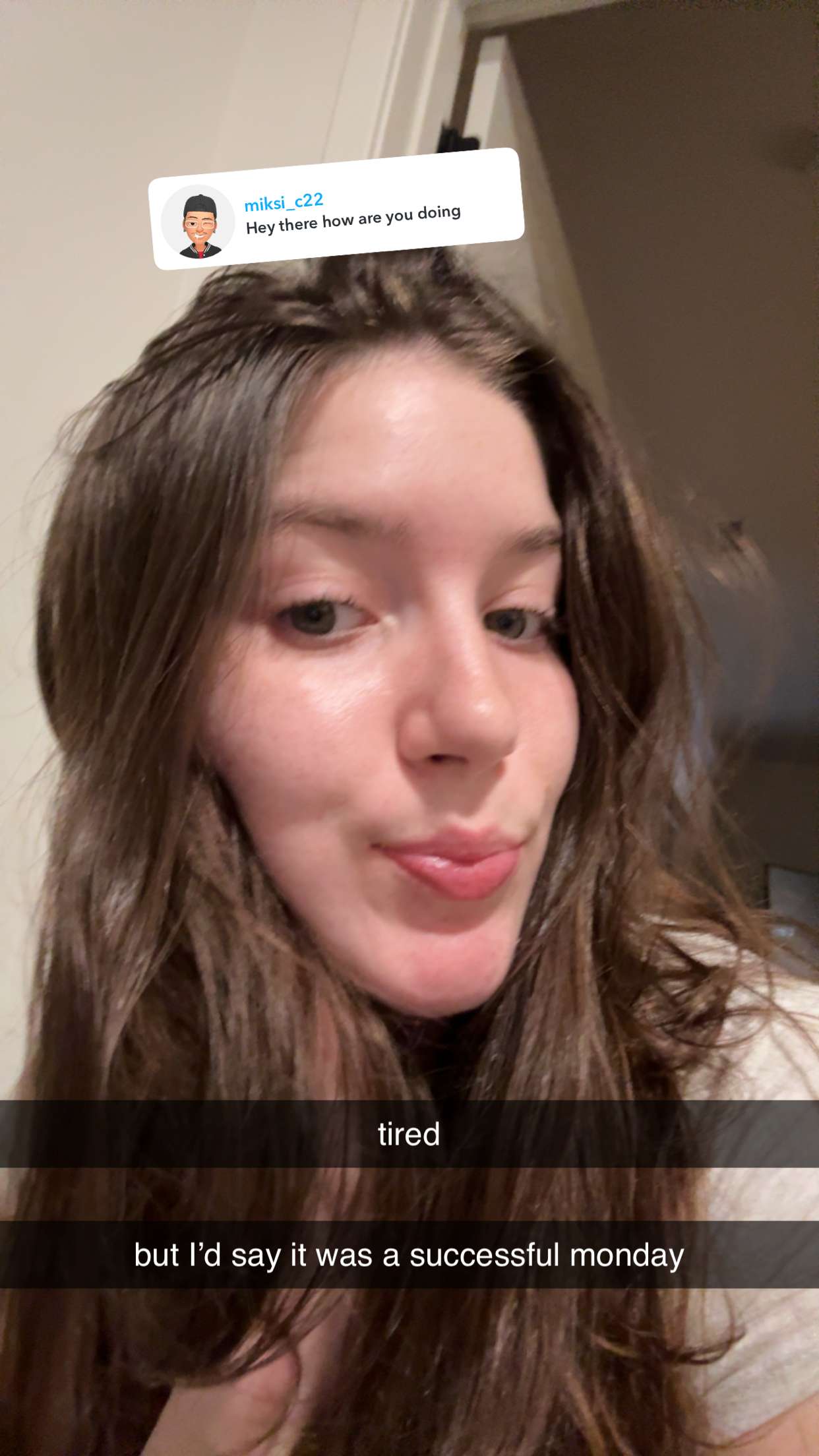 ameliabfit snapchat image archive image