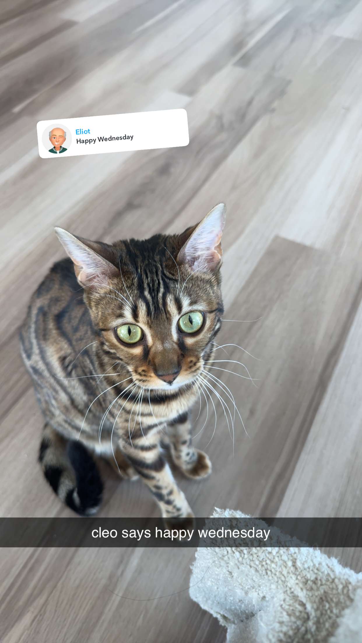 ameliabfit snapchat image archive image