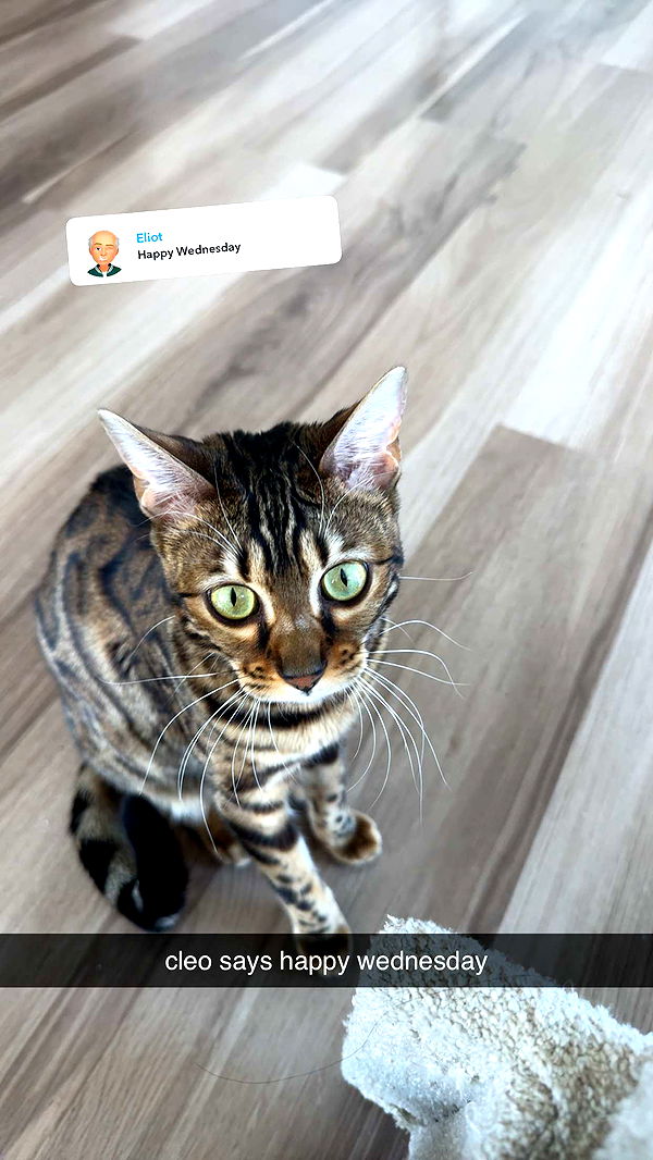 ameliabfit image ~ Altpins