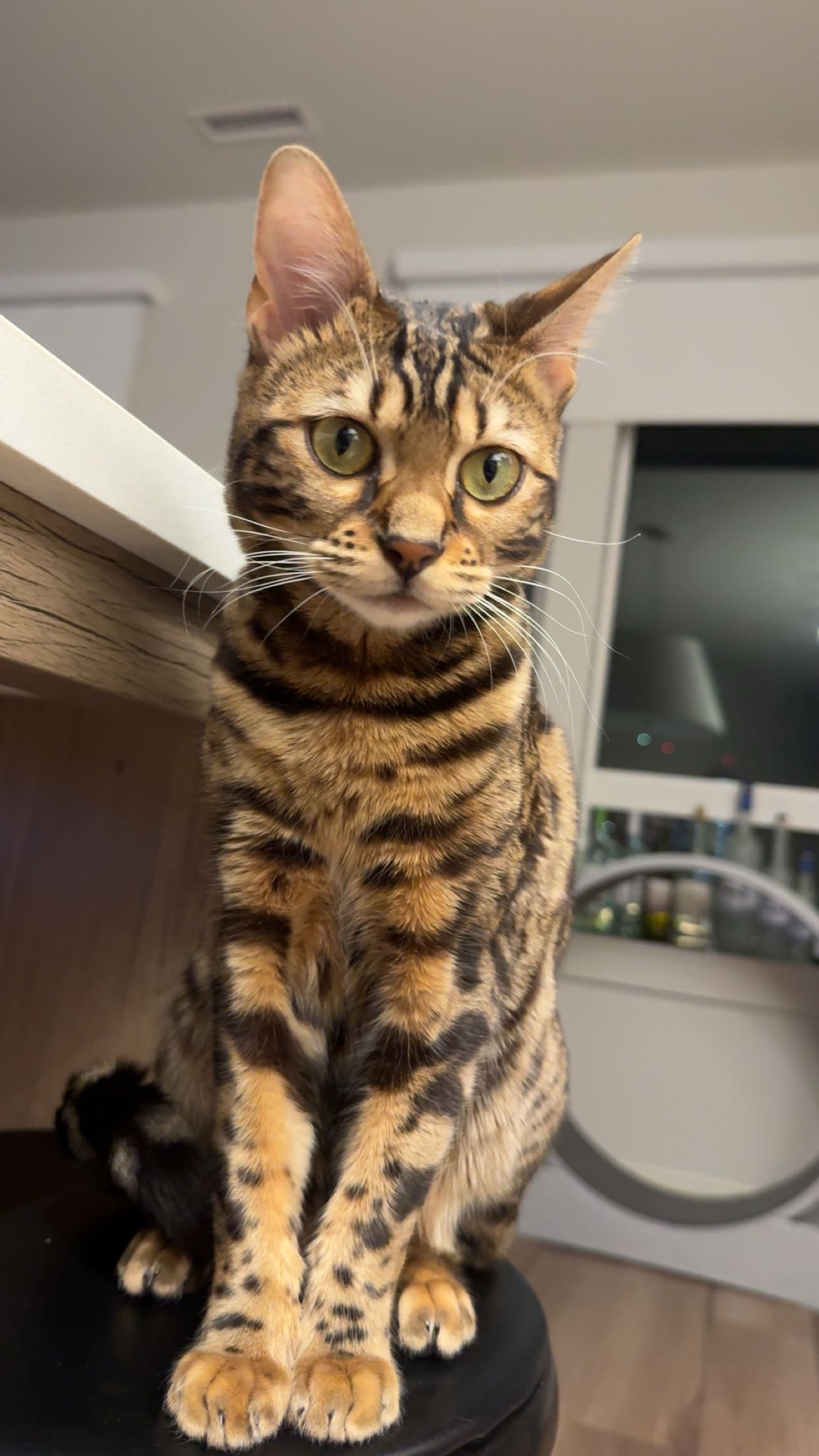 ameliabfit snapchat image archive image