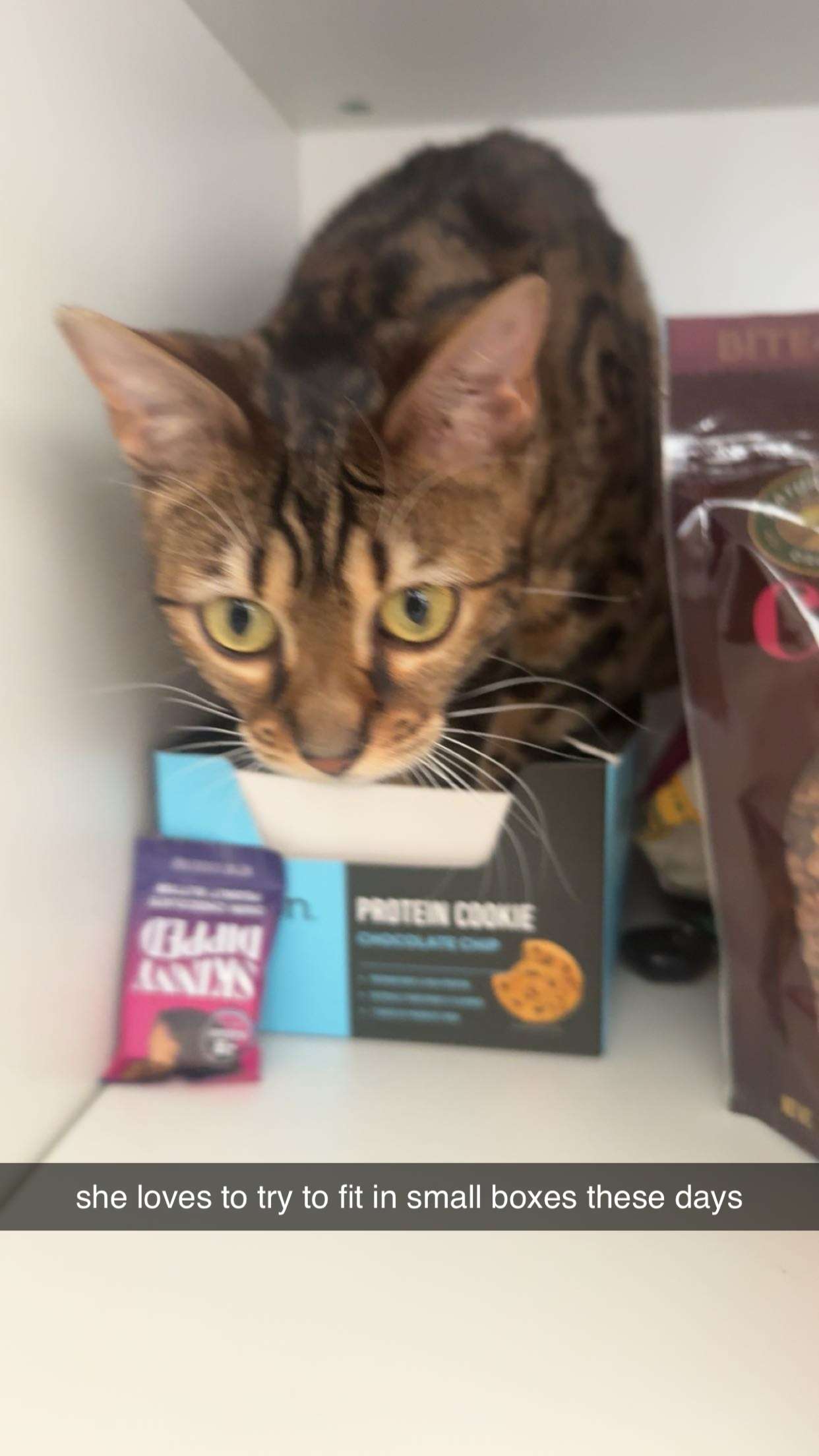 ameliabfit snapchat image archive image