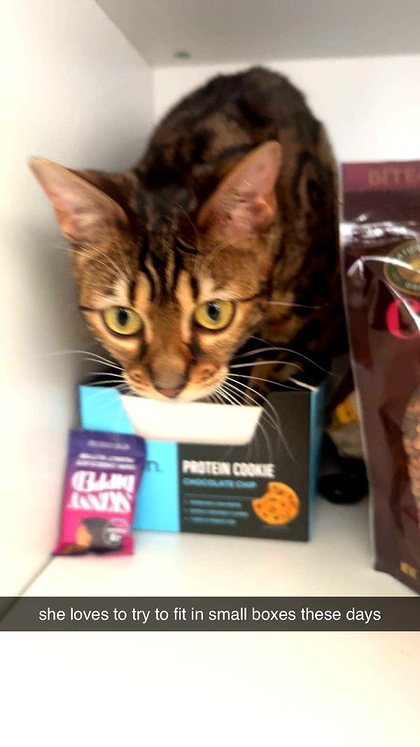 ameliabfit image ~ Altpins