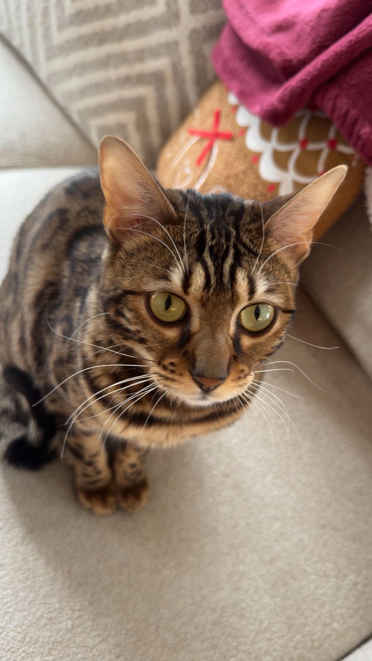 ameliabfit snapchat image archive image