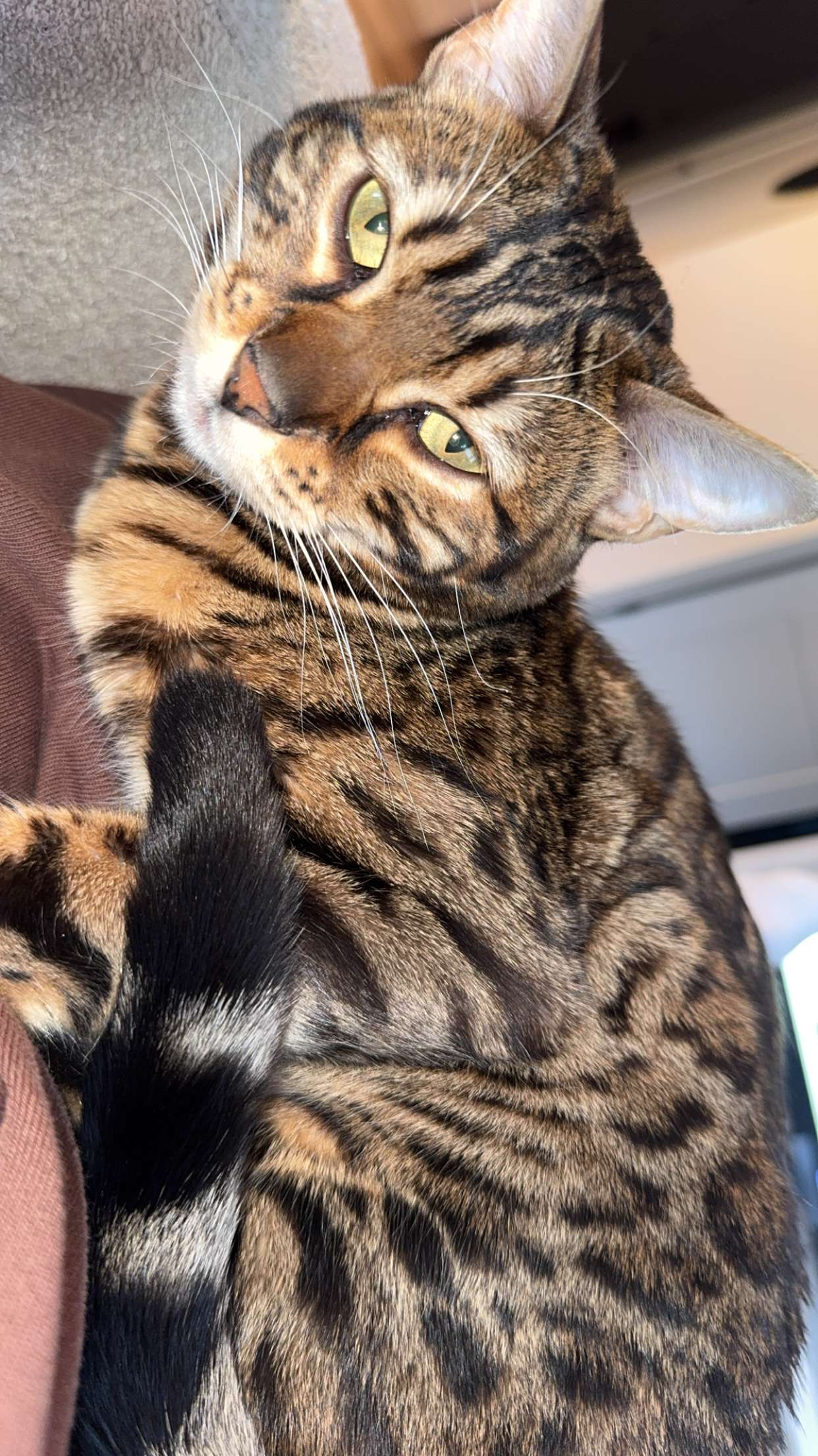 ameliabfit snapchat image archive image