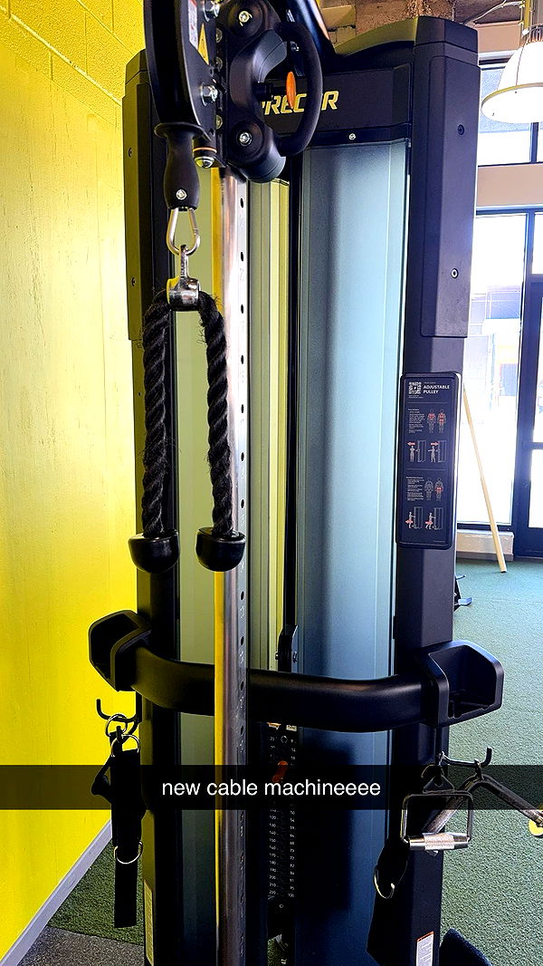 ameliabfit image ~ Altpins