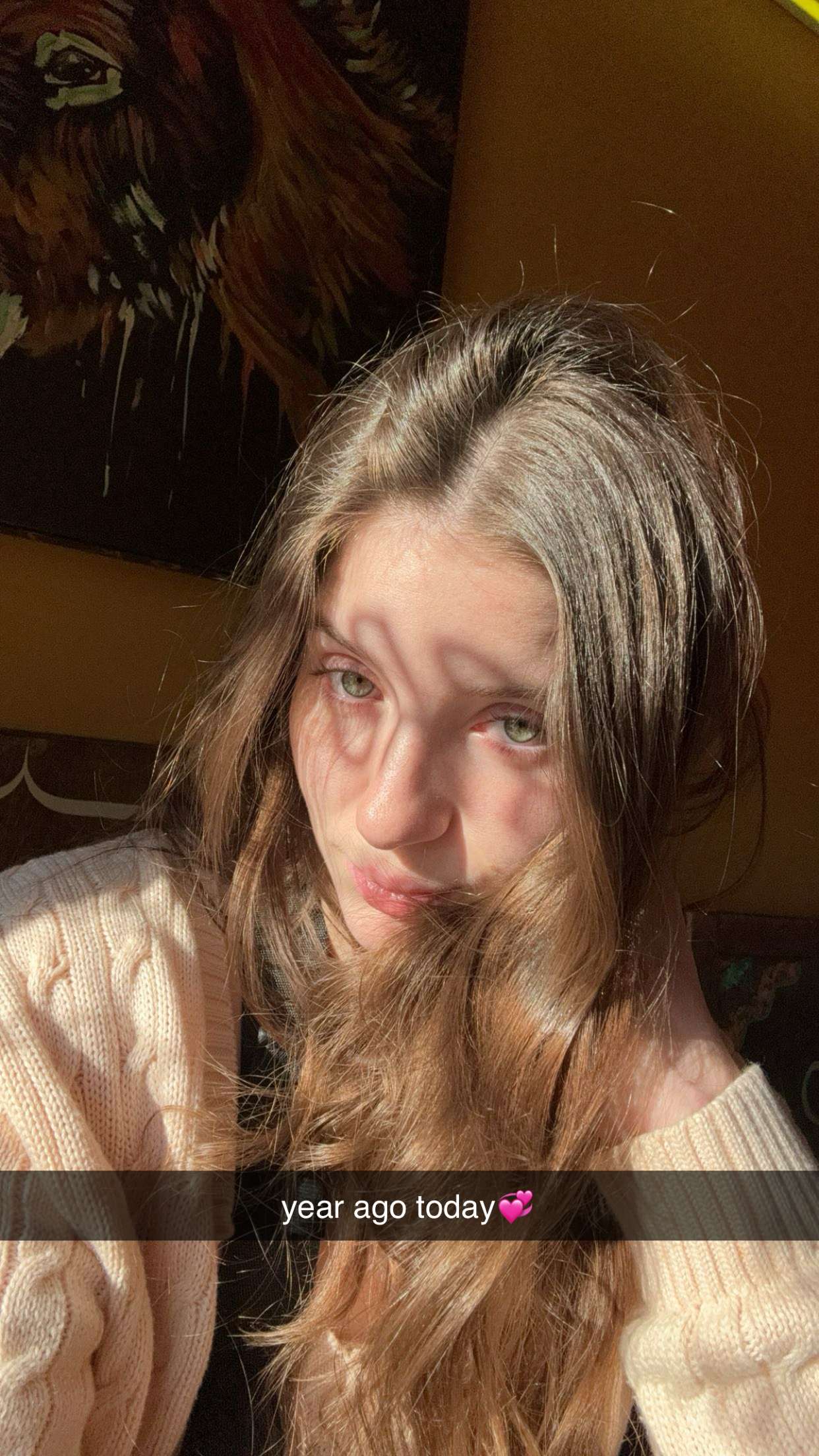 ameliabfit snapchat image archive image