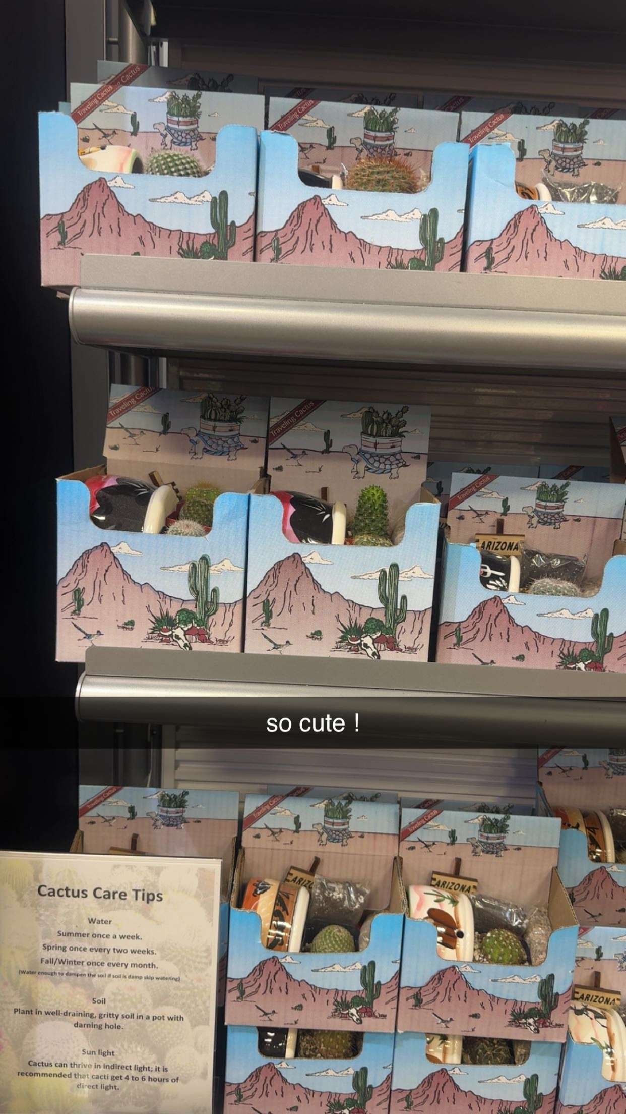 ameliabfit snapchat image archive image