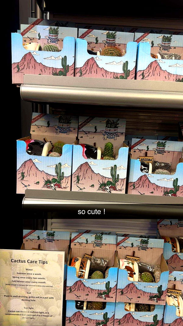 ameliabfit image ~ Altpins