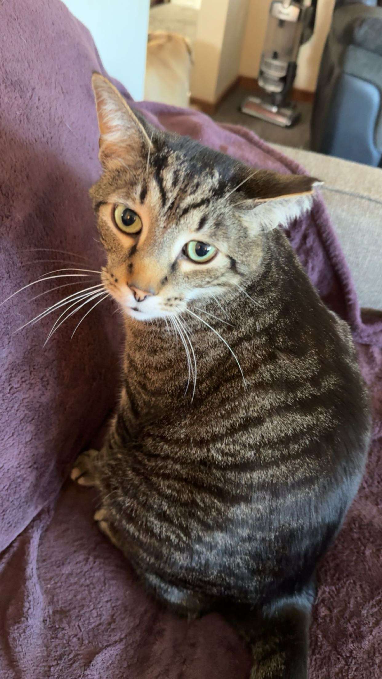 ameliabfit snapchat image archive image