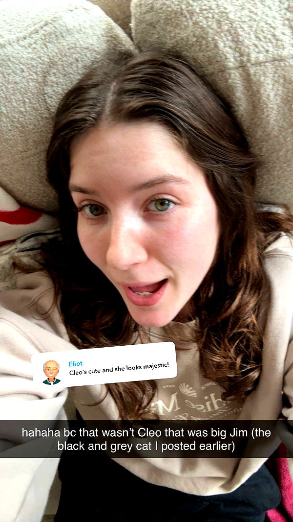 ameliabfit image ~ Altpins