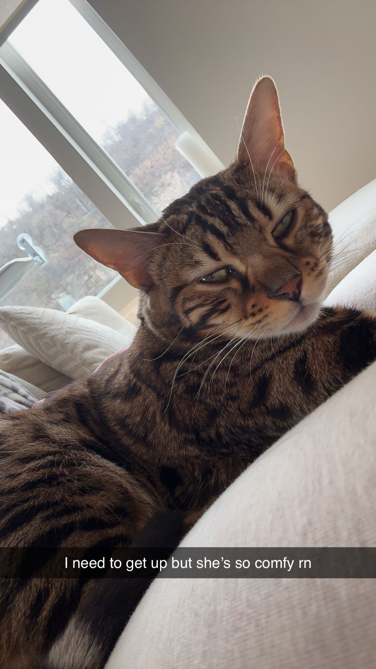 ameliabfit snapchat image archive image