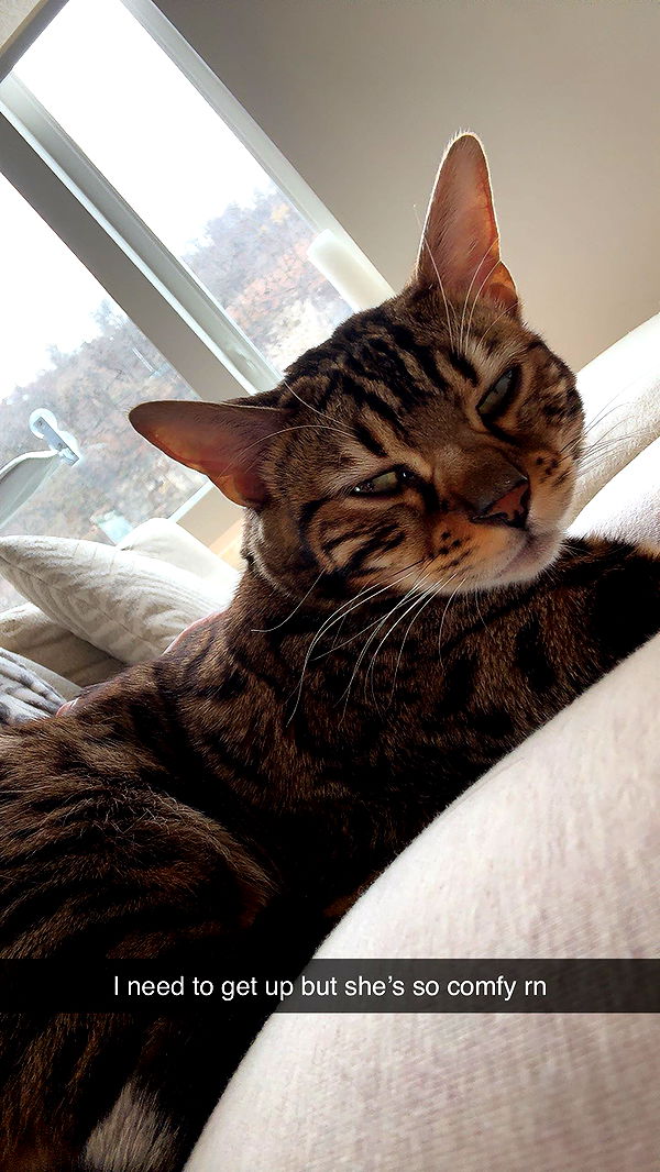 ameliabfit image ~ Altpins