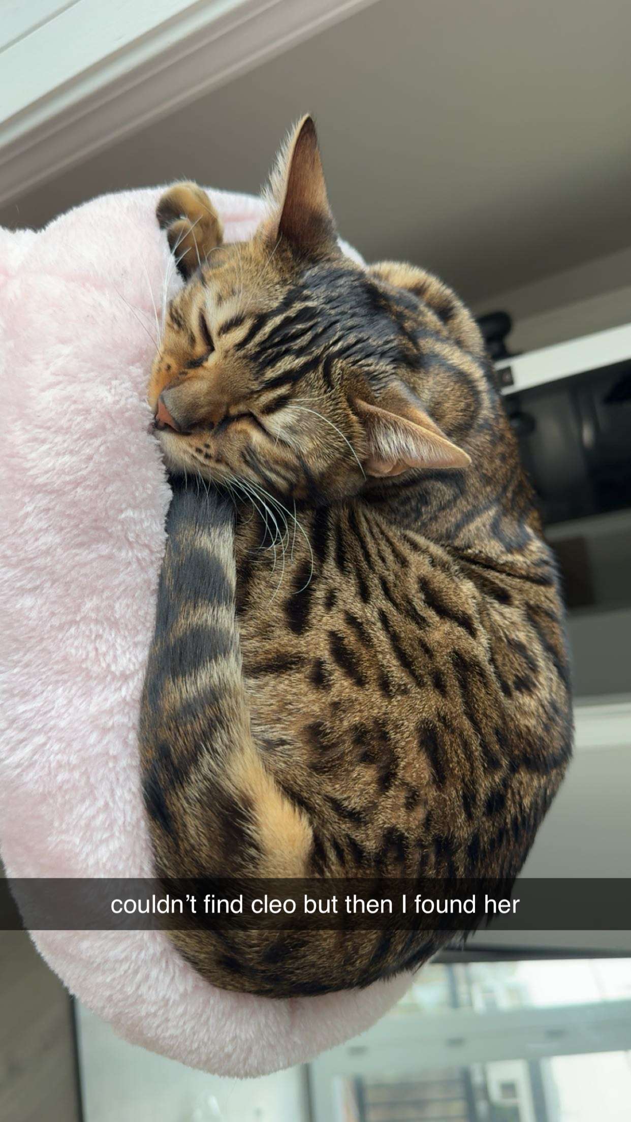 ameliabfit snapchat image archive image