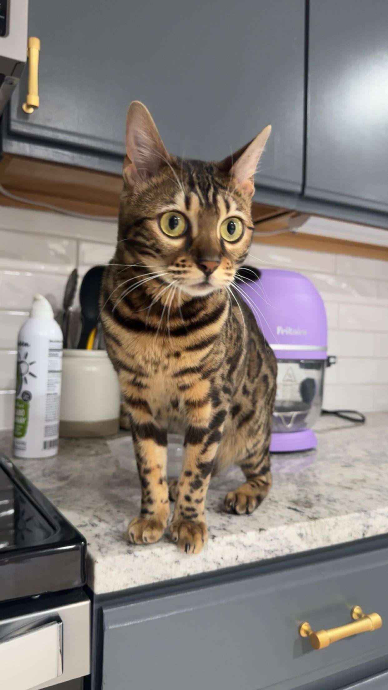 ameliabfit snapchat image archive image