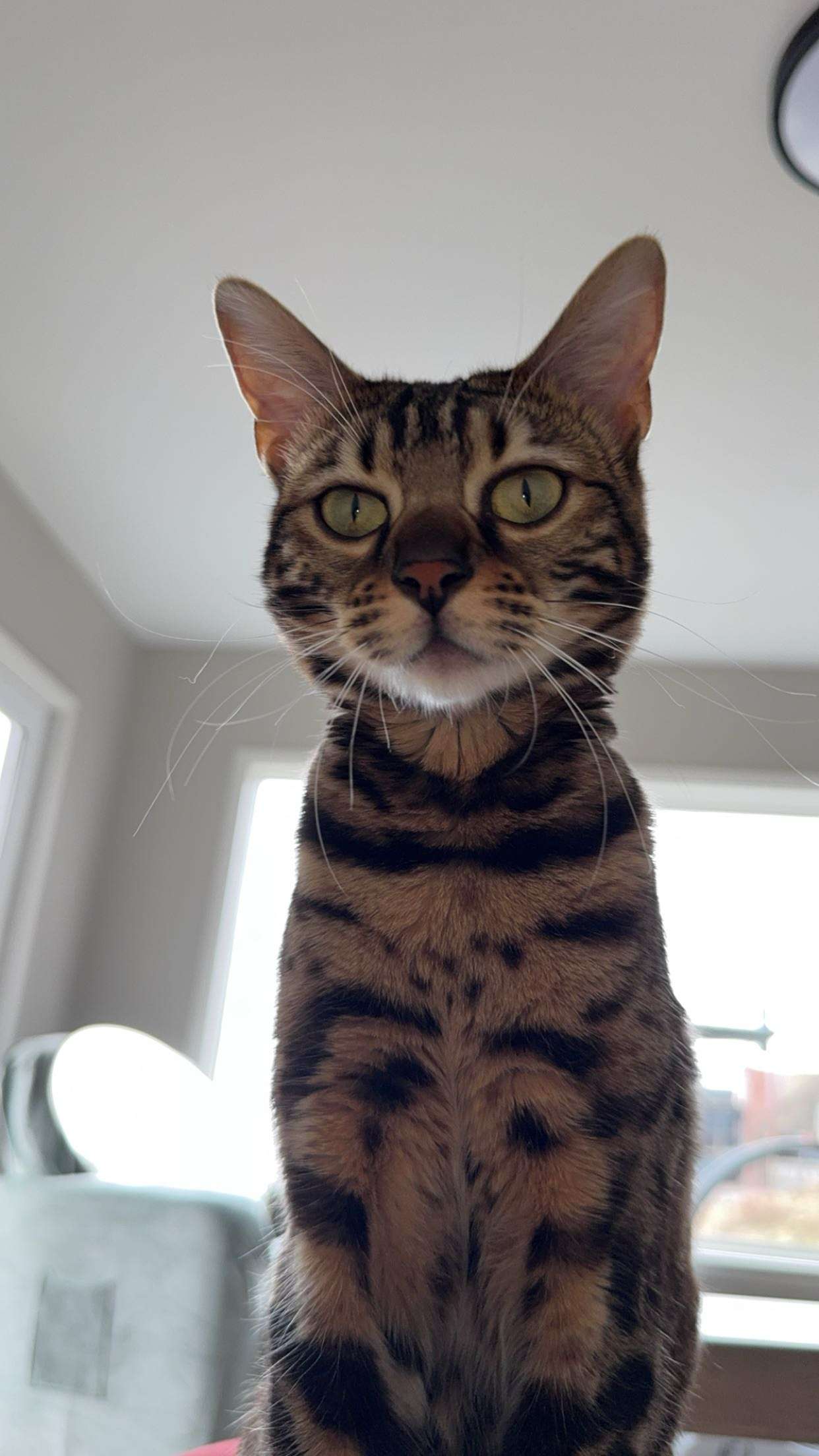 ameliabfit snapchat image archive image