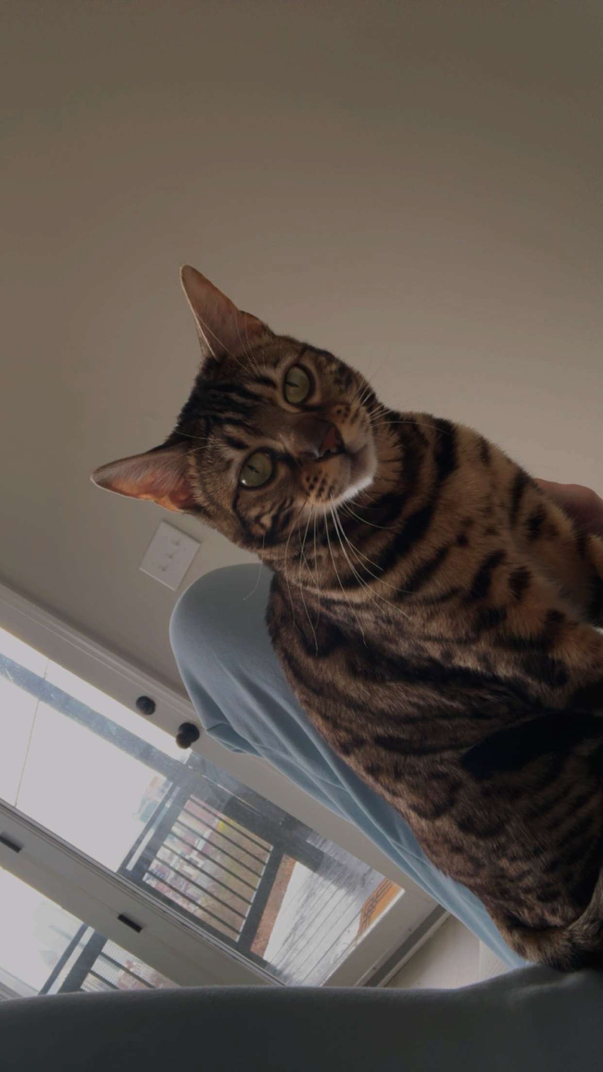 ameliabfit snapchat image archive image