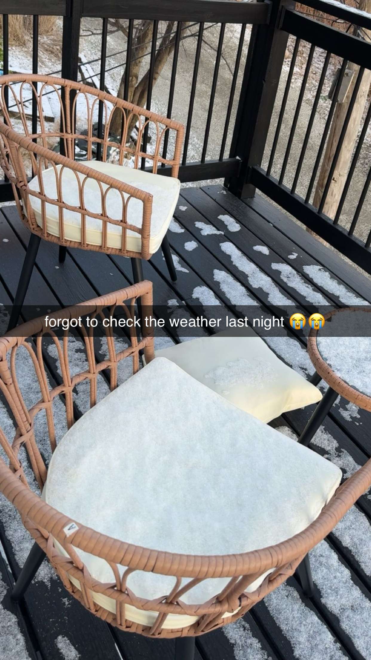 ameliabfit snapchat image archive image