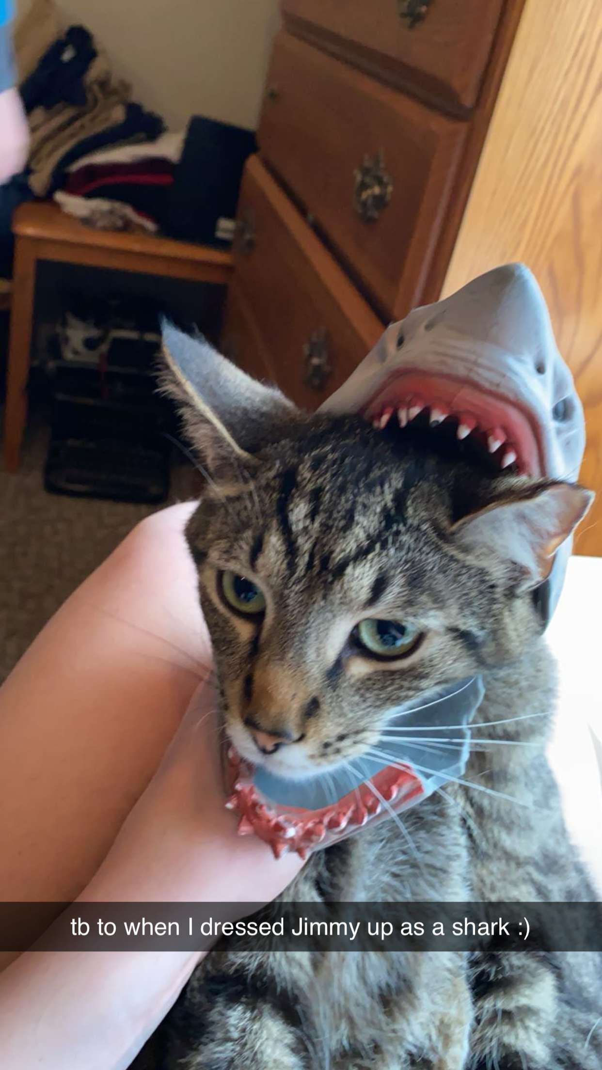 ameliabfit snapchat image archive image