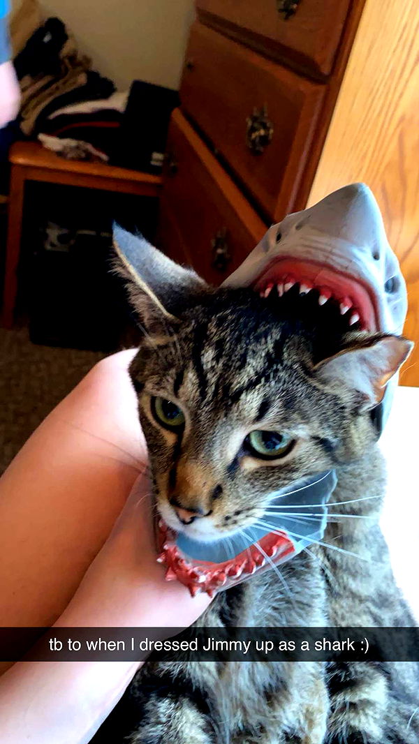 ameliabfit image ~ Altpins